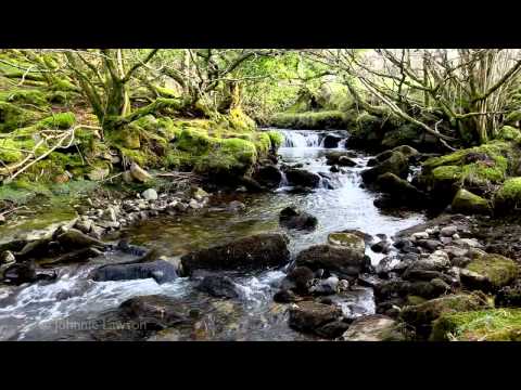 8 Hours of Relaxing Nature Sounds