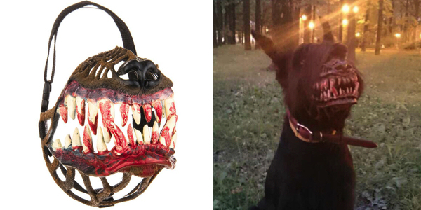 Turn Your Dog Into A Terrifying Werewolf With This Muzzle