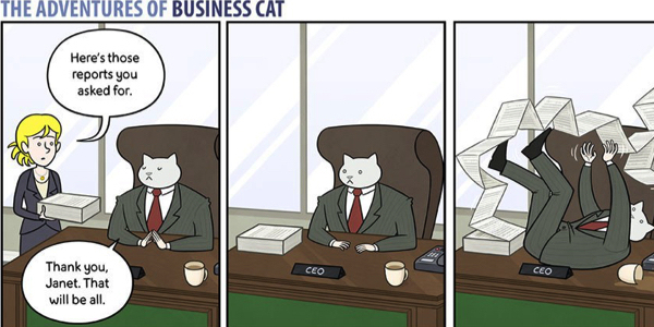 This Is What Your Office Would Look Like If A Cat Was The Boss