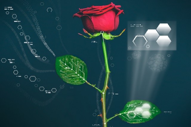Scientists Develop World’s First Cyber Plant