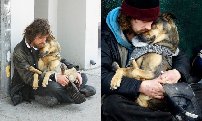 20 loyal dogs who stayed with their owners in their hour of need