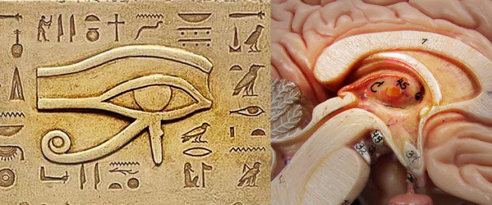 Ancient Egyptians Knew How to Unleash the Power of the Pineal Gland