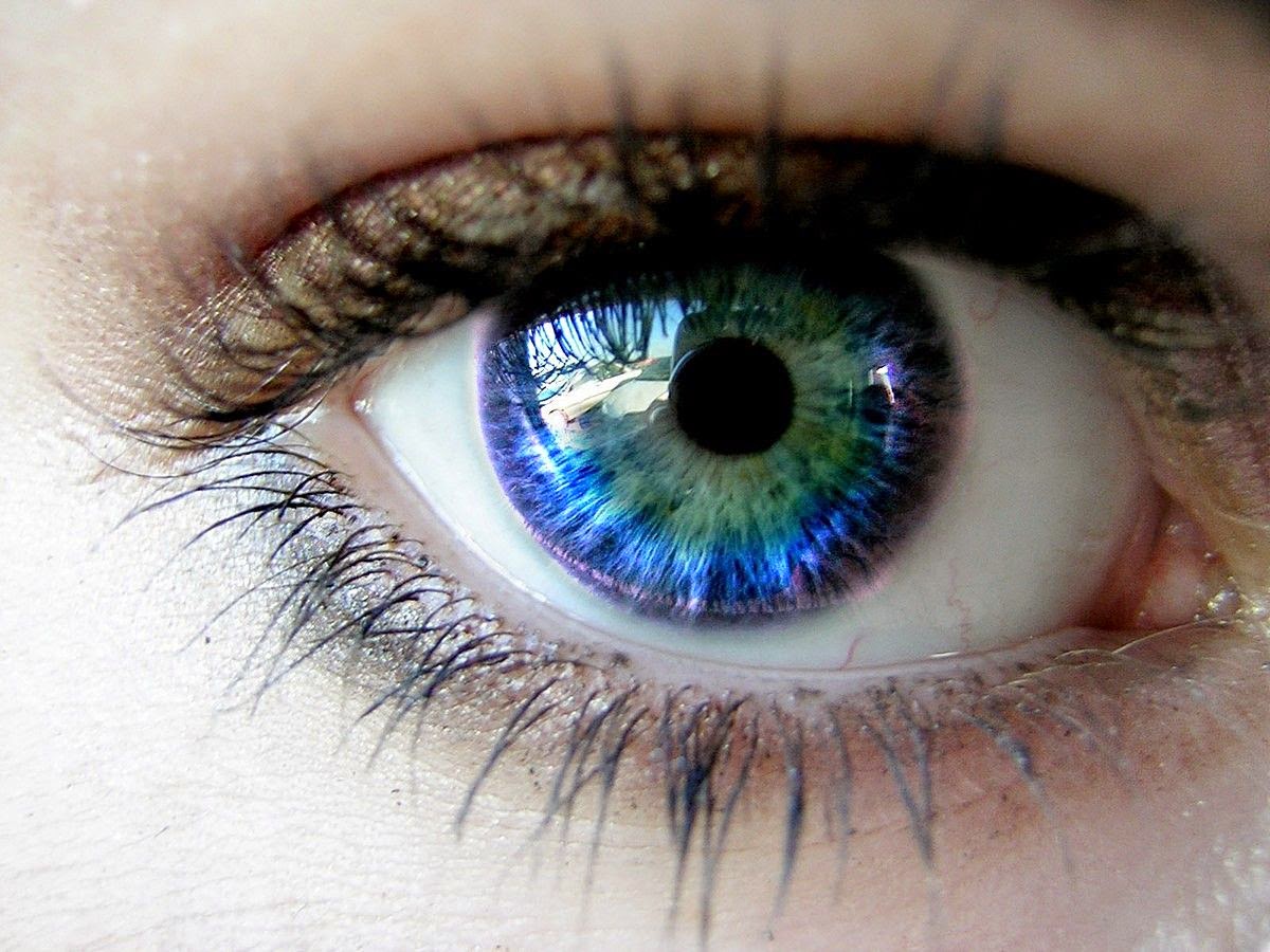 This Is How Human Eyes Get Their Color, and It’s Simply Amazing!