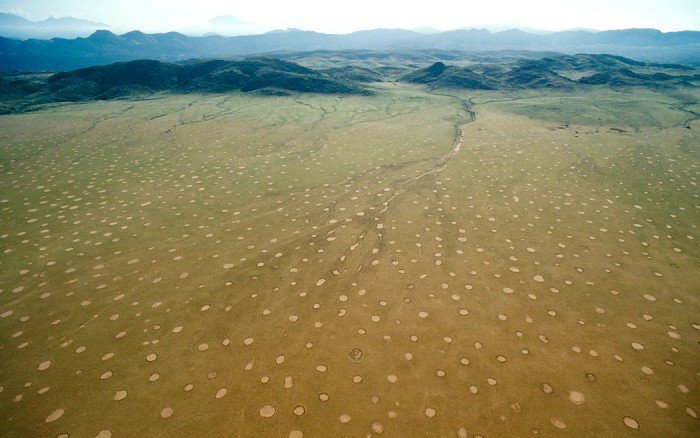 Mysterious Fairy Circles That Cover Namibian Desert Now Appear in Australia