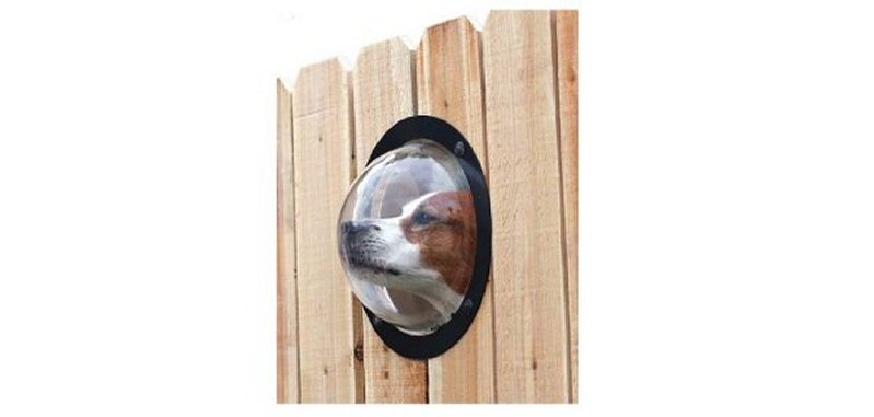Product photo of PetPeek Fence Window for Dogs