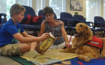 Comfort Dogs at School Provide Love and Support to Grieving Students